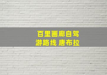 百里画廊自驾游路线 唐布拉